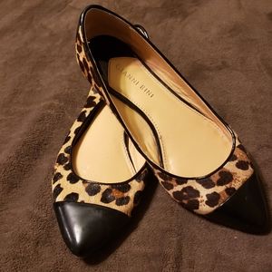 Gianni Bini 7 cheetah